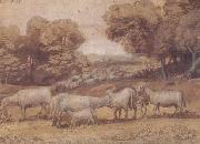 Landscape with Sheep (mk17)